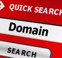 domain name investing