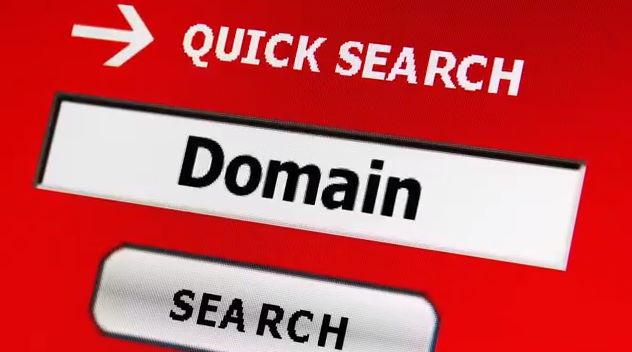 domain name investing